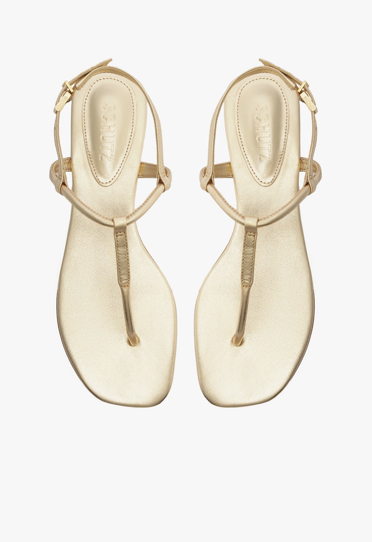 Elsha Flat Sandal - Schutz Shoes